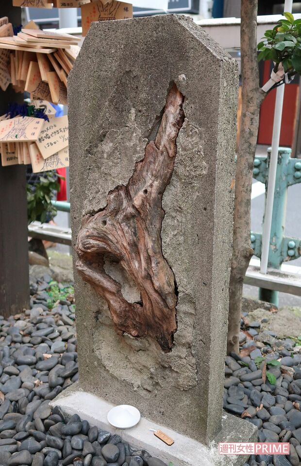 初代の榎を埋め込んだ石。手をあてて祈ると願いが叶うという