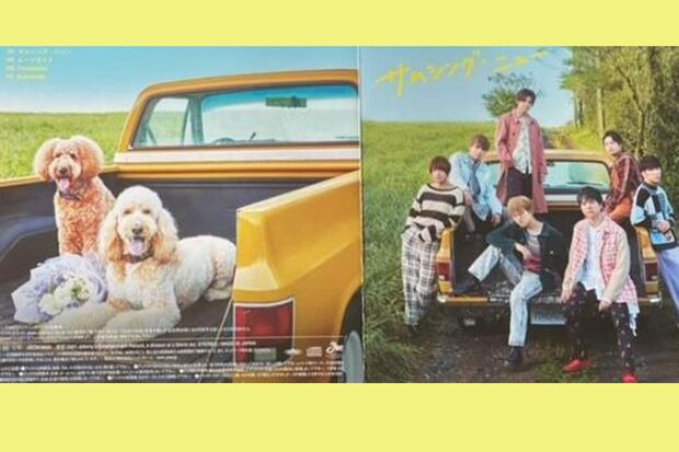 ジャニーズWESTの昨年発売のシングル『サムシング・ニュー』では裏面に2匹のゴールデンドゥードルが。