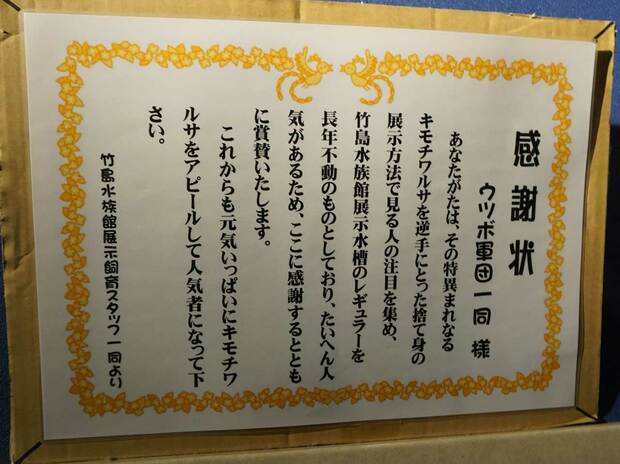 ウツボに送られた感謝状