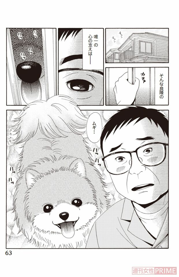 『ペット共生型マンション物語　ハイツ祐天寺へようこそ』第3巻（漫画柏屋コッコ／原作小林のえ）