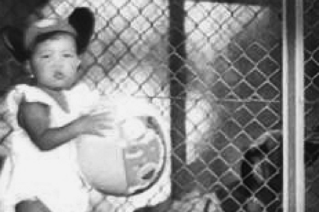 クリスタル・ケイが1歳のときに引っ越してきたという住宅地区は、根岸にあるアメリカ海軍の専用地