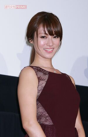 深田恭子（2013年）
