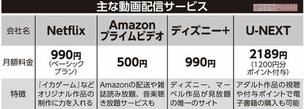 主な動画配信サービス（2022年）