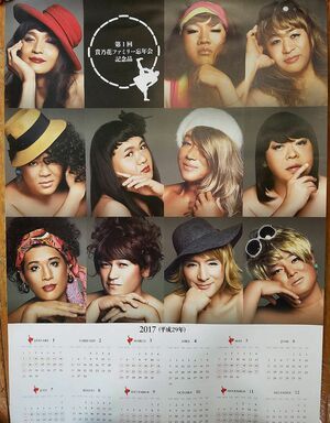 第1回貴乃花ファミリー忘年会記念品のカレンダー。各親方がなぜか女装して登場