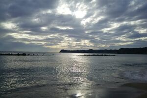 昔から大好きな九十九里の海では、仲間たちとサーフィンをして楽しんでいる