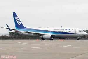 ANAの投稿した写真や動画が炎上している(写真はイメージです)