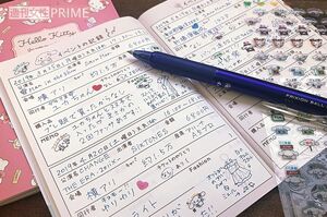 座席情報から服装、同行者まで、ヲタ活の記録を書き込めるノートとシール／著者撮影