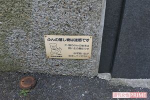 渋谷区神泉町にある石原容疑者の自宅には複数の防犯カメラと鉄壁のガードが築かれている。また、犬のフンの取り締まりにもうるさかった