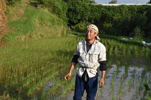 仮設住宅暮らしで農業を続ける田崎さん