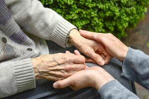 写真はイメージです