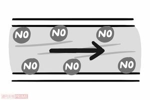 血流がよくなると、その刺激によって、血管をやわらかくする「魔法のガス」NO(一酸化窒素)が血管内に出てくる(イラスト/上田英津子)