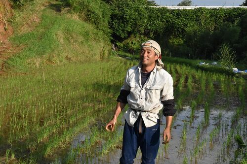 仮設住宅暮らしで農業を続ける田崎さん
