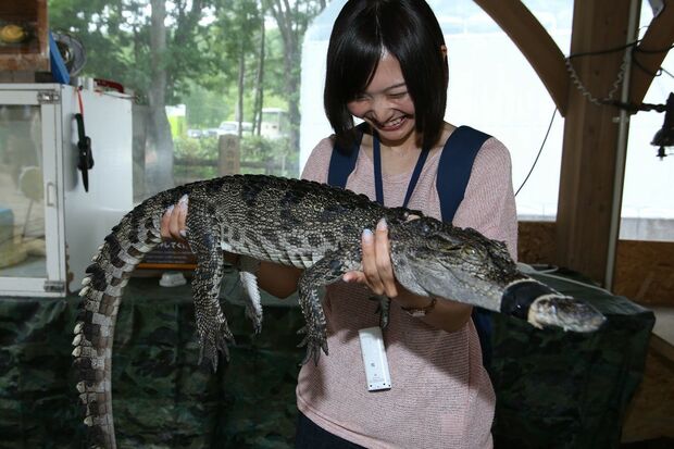 ワニを抱く体験も、飼育員監視のもとで行われていた
