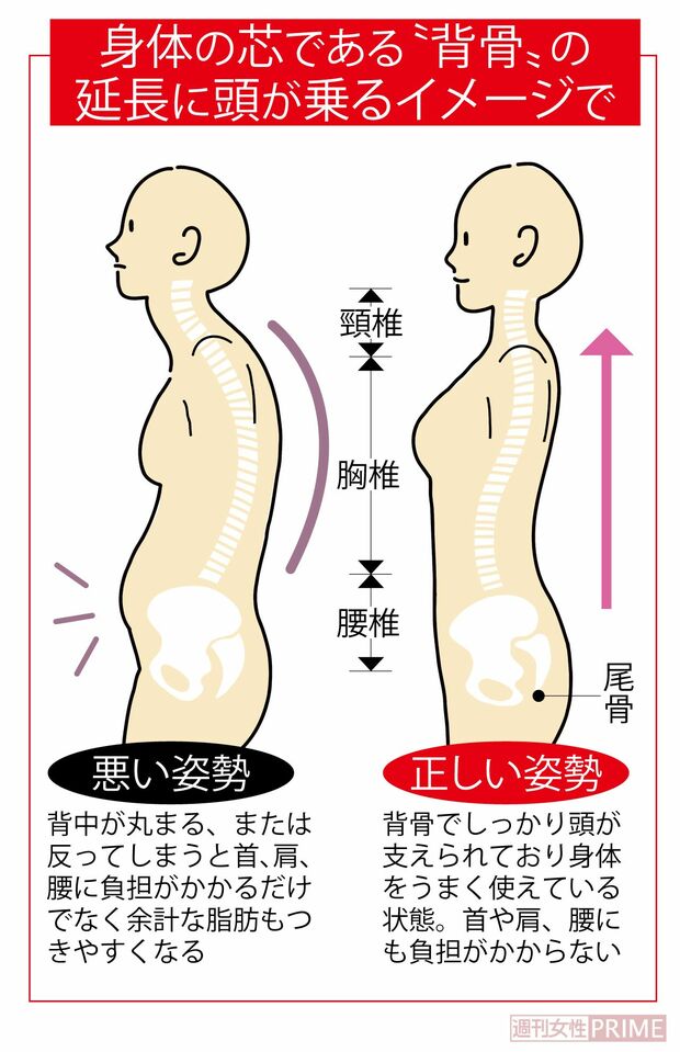 「正しい姿勢」は身体の芯である“背骨”の延長に頭が乗るイメージ