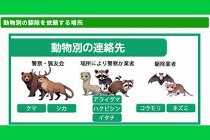 猟友会が駆除できる動物は大型動物だけではない（害獣駆除対策センターHPより）