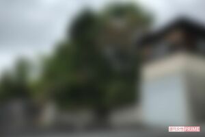 高台に建つ武家屋敷のような山下八洲夫容疑者の自宅