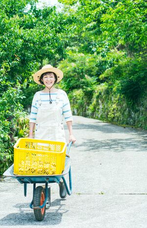 財前直見 大分移住生活15年 3600坪の畑と山の農作業で芽生えた もったいない精神 週刊女性prime