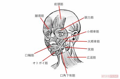 コロナ禍の 顔面老化 を解消 マスク老けの原因は表情筋だった カオキン体操 解消法 週刊女性prime