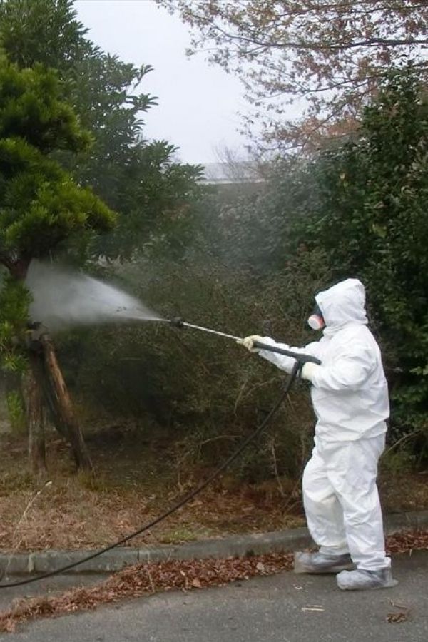  汚染された樹木を高圧洗浄する作業員。除染による被ばくの影響も危惧されている