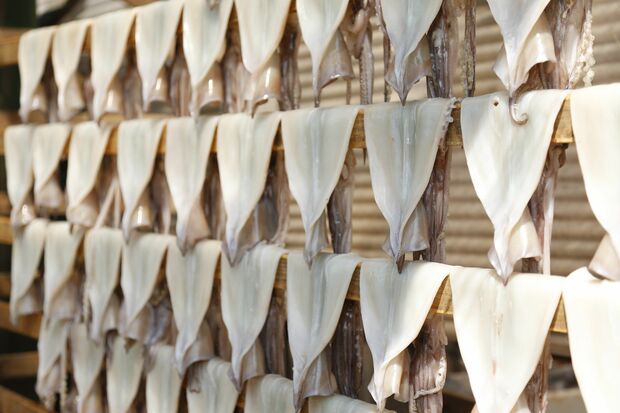 鰺ヶ沢名物『イカのカーテン』　撮影／竹内摩耶