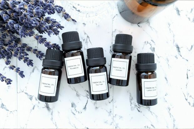 ※画像はイメージです