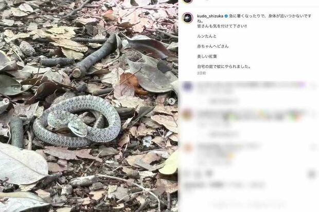 木村拓哉と工藤静香が同じタイミングで投稿した「ヘビの赤ちゃん」(工藤のインスタグラムより)
