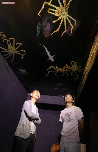 水族館プロデューサー・中村元さん（撮影／矢島泰輔）