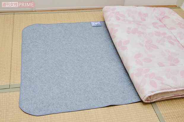 洗える珪藻土入り除湿シート/1990円 ニトリ　撮影／山田智絵