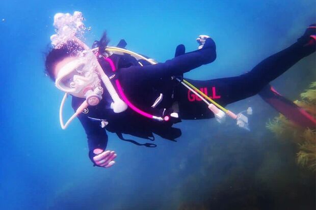 趣味のダイビングに興じる様子