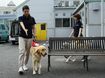 障害物のベンチをよけて歩行する訓練