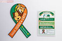 ふるさと納税で「犬・猫の殺処分ゼロ」に大きく貢献、名古屋市の取り組みに迫る