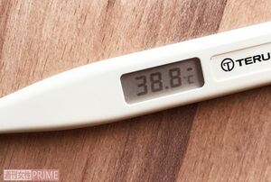 発症2日目には体温が38.8℃まで上昇した　撮影／若林理央