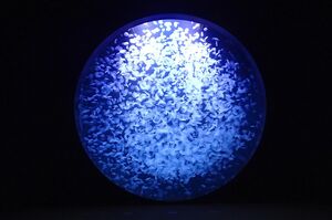 照明を落とした空間でクラゲを観察する「クラネタリウム」