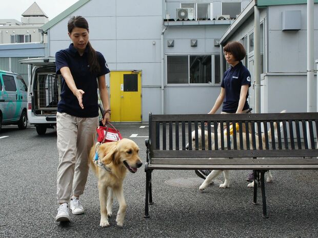障害物のベンチをよけて歩行する訓練