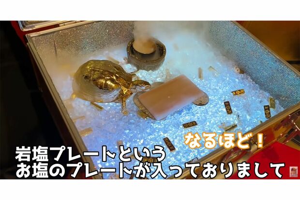 騒動の原因となった岩塩プレートについても動画内で説明されていた（ヒカルのYouTubeチャンネルより）