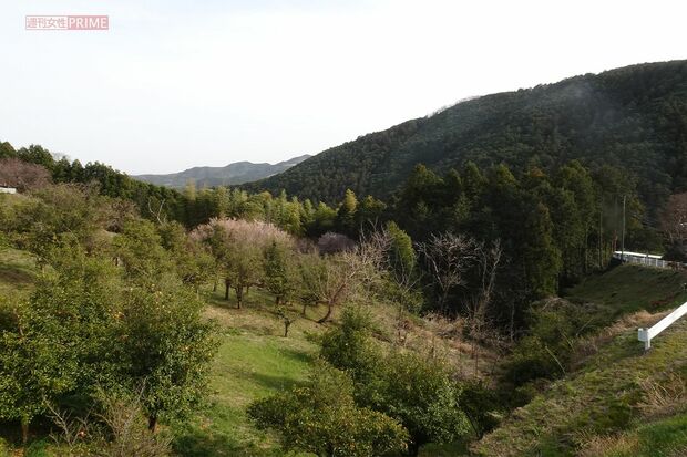 島田容疑者の住む埼玉県ときがわ町の風景