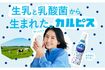 『カルピス』CMに起用されている長澤まさみ(公式ホームページより)