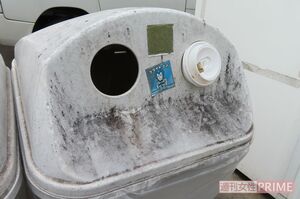 テイクアウト用容器がリサイクルBOXの投入口に無理やり突っ込まれていた
