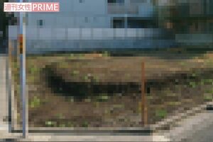 中村獅童が豪邸を建てた土地