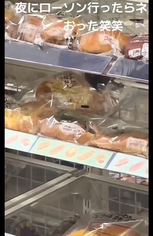 ローソン店内でネズミがパンをかじる動画。パンに頭を突っ込むネズミ(2/4、Xより)