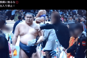 横綱・豊昇龍の身体を観客が「バシバシ」と叩く様子(Xより)