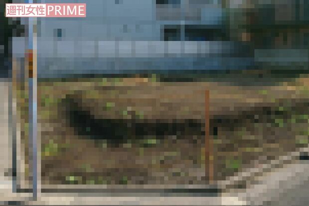 中村獅童が豪邸を建てた土地