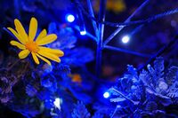 【心理診断】あなたは悪魔or天使? 純粋度をチェック