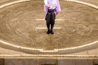 相撲協会の消えぬ「暴力問題」の背景に、改善されない “ブラック巡業” の闇