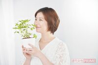 梅雨の不調に合わせてチョイス!頭痛にはペパーミント、紫外線にはパセリetc.「初心者ハーブ」