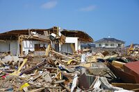 次の大災害を予想(3)スーパー南海トラフ地震「群馬の館林あたりまで水が入る」