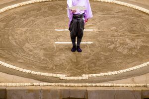 相撲界の「暴力」問題、このままでいいのだろうか…（写真はイメージです）