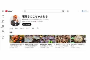 YouTube『坂井きのこちゃんねる』では、きのこ採取の様子を投稿している
