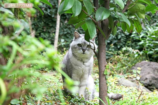 撮影／朝井まかてさん