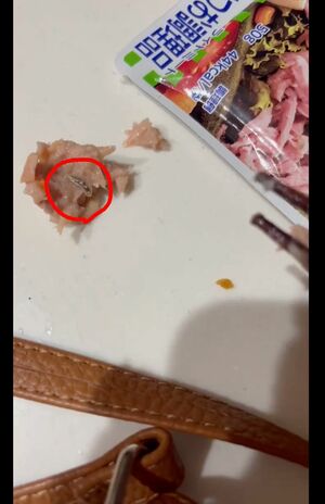「シーチキンにウジ虫」混入を疑ったSNS動画。シーチキンに紛れて何やら虫が（※編集部加工）